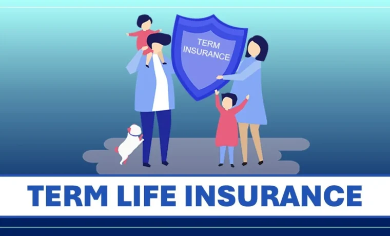 term insurance vs whole life insurance